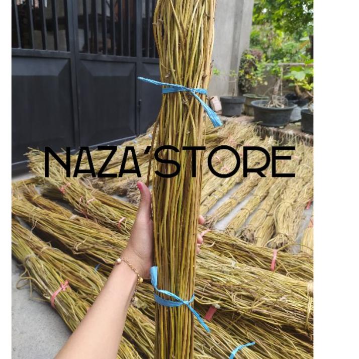 EBR951 AKAR MANON ISI 100BATANG/AKAR MENTAU /AKAR MANON DEKORASI |||