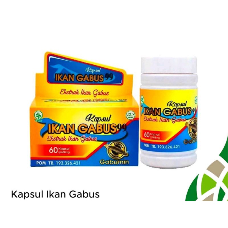 extra ikan gabus kapsul