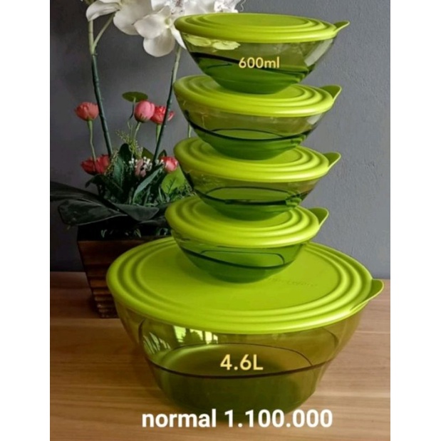 Eleganzia Bowl/Eleganzia Bowl Tupperware/Bowl Tupperware/Tupperware hijau