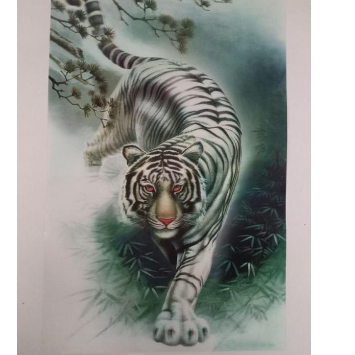 Depan POSTER HARIMAU 3 DIMENSI UKURAN 58X38 CM (terlihat hidup & nyata)