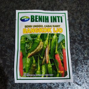BANGKOK IJO Benih Inti Bibit Cabe Rawit Hijau isi 10 Biji /Benih -Repacking F1 seeds