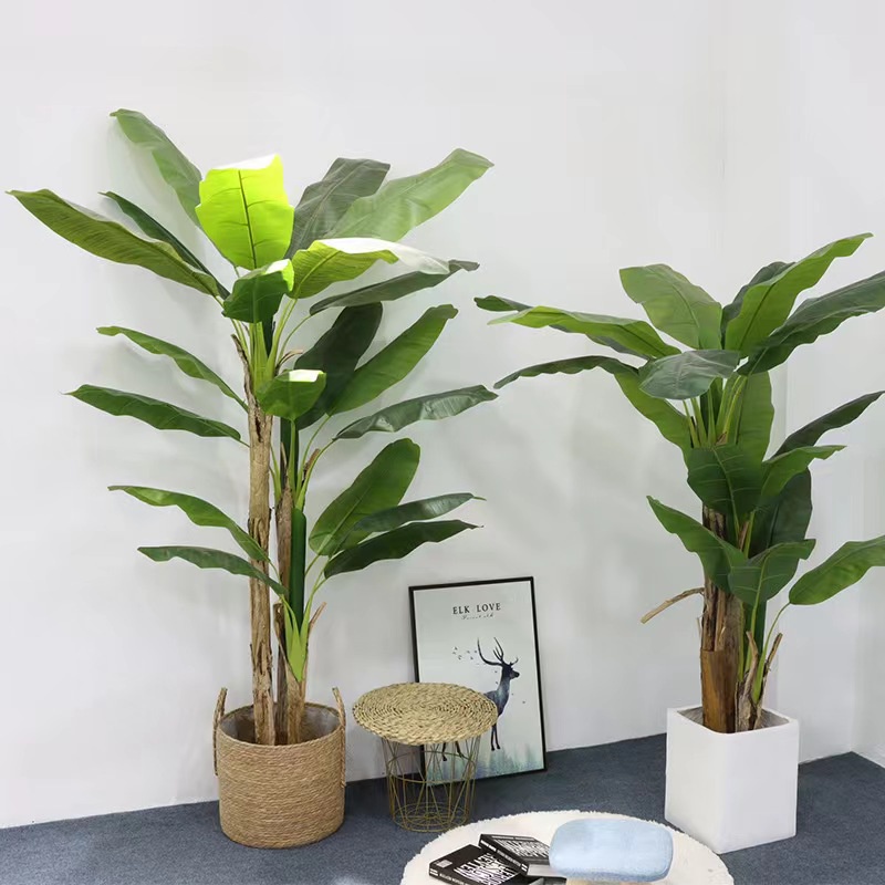 AND / COD / Pohon Pisang Hias 1.6M Dekorasi Rumah Kantor Tanaman Hias Plastik Banana Tree Artificial Flowers Cantik PBP130-03