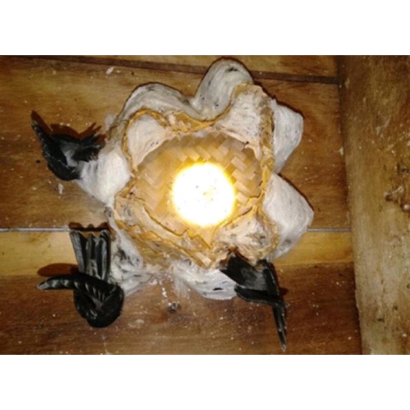 besek bakul walet 25x25x12cm