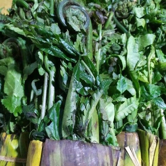 

Sayur Daun Pakis Segar 2-Ikat