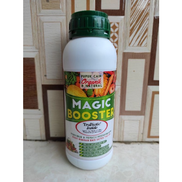 Magic Booster Sayur dan Buah