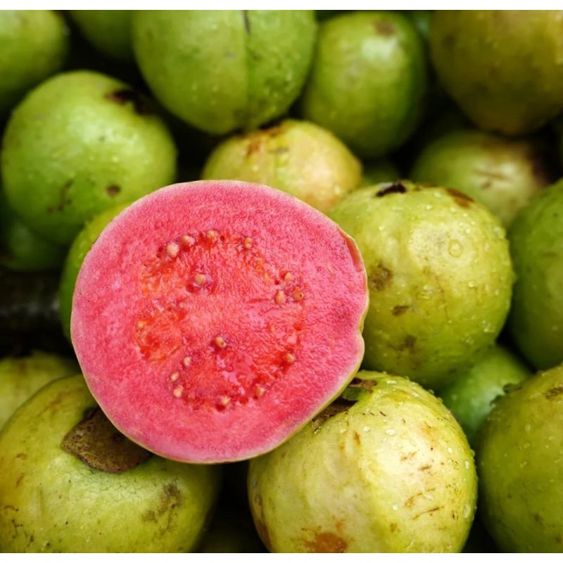 

jambu merah 1kg