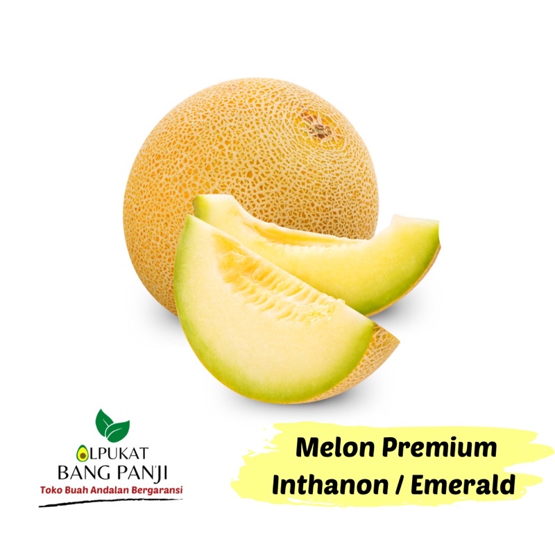 

ALPUKAT BANG PANJI - Melon Premium Inthanon/Emerald