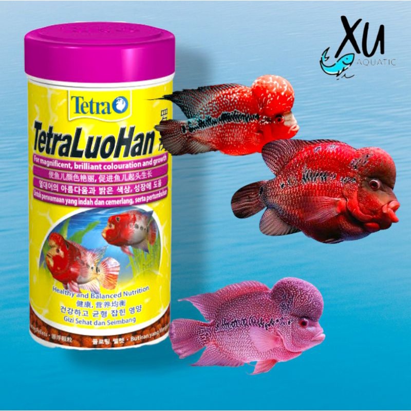 TETRA LOUHAN 86 GRAM 250 ML / TETRA LUOHAN PAKAN PELET IKAN LOUHAN