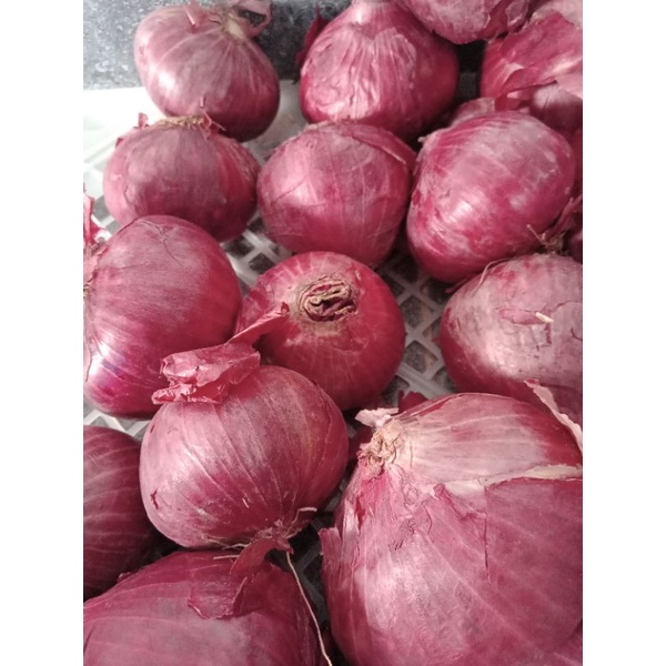 

BUMBU DAPUR BAWANG MERAH INDIA SUPER per kg