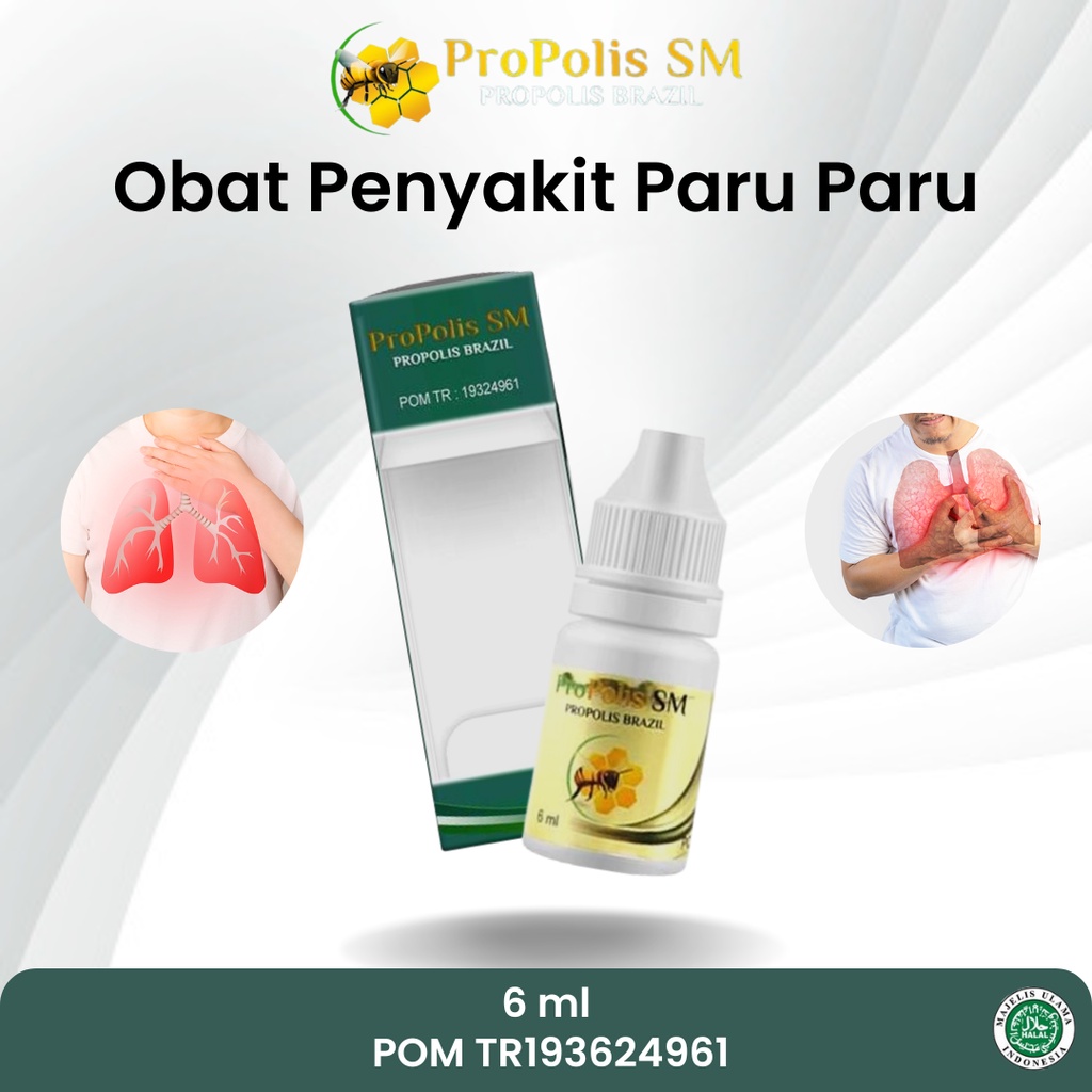 Obat Paru Paru Akibat Merokok Flek Paru Paru TBC Paru Paru Batuk Berdarah Paru Basah Kanker Paru Par
