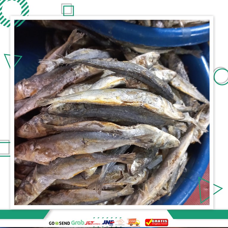 

Ikan Asin Japu 100 gram