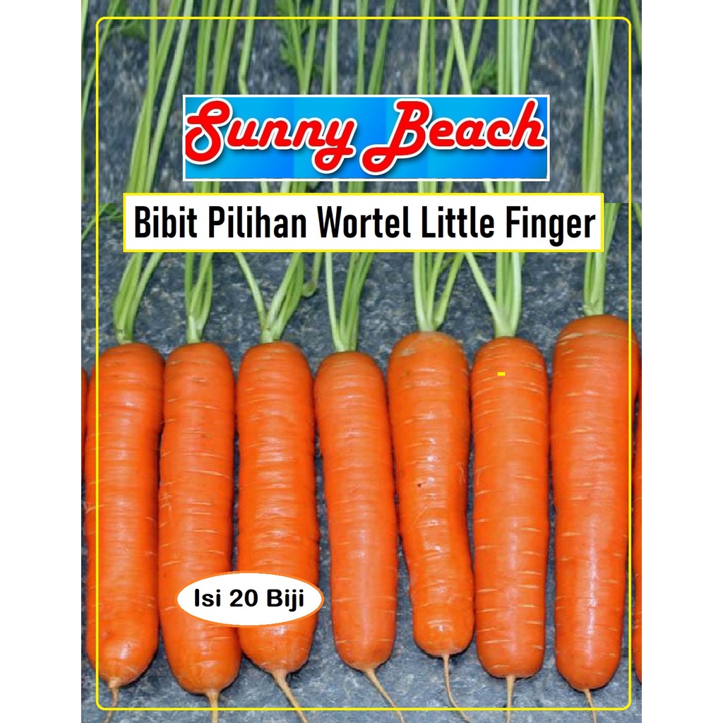 Bibit Pilihan Wortel Little Finger Carrot Wotel Baby|Benih Wortel Baby
