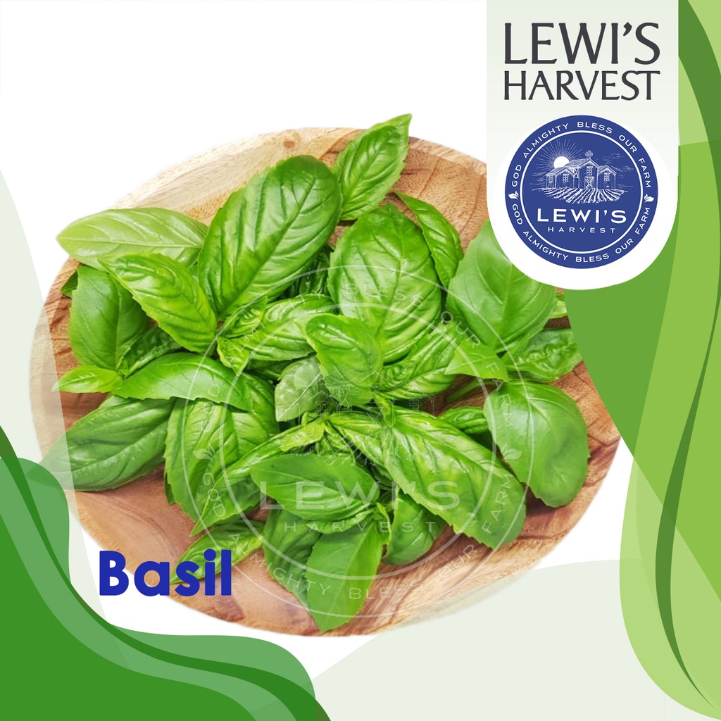 

Daun Basil Manis Segar/ Fresh Sweet Basil 100gr