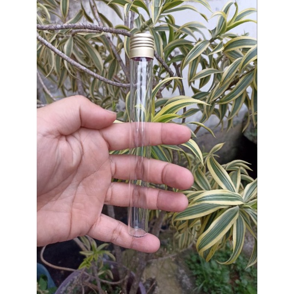 Tabung Reaksi Kaca / Test Tube 16*150mm Tutup alumunium