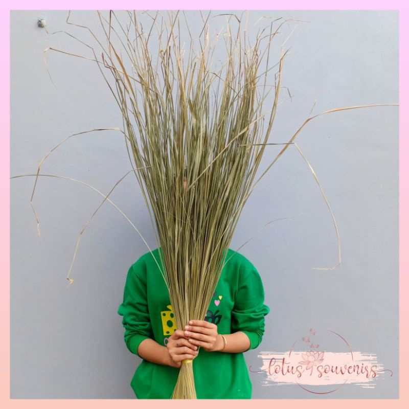 (20 tangkai) Daun kering ilalang alang-alang dried flower