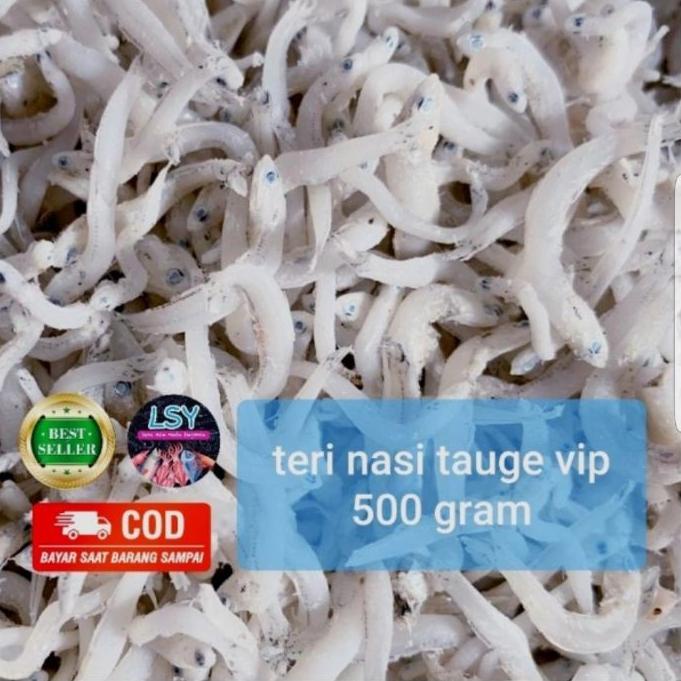 

☟ Ikan asin tn tauge vip/teri nasi size jumbo 500gr ✶