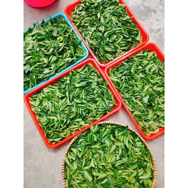 

Daun Kari segar / Salam Koja / Koro Belek (1kg)