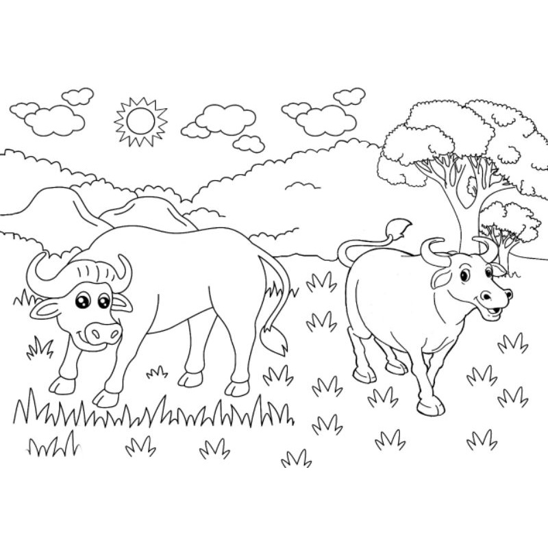 

Buku / lembar kertas mewarnai gambar kerbau