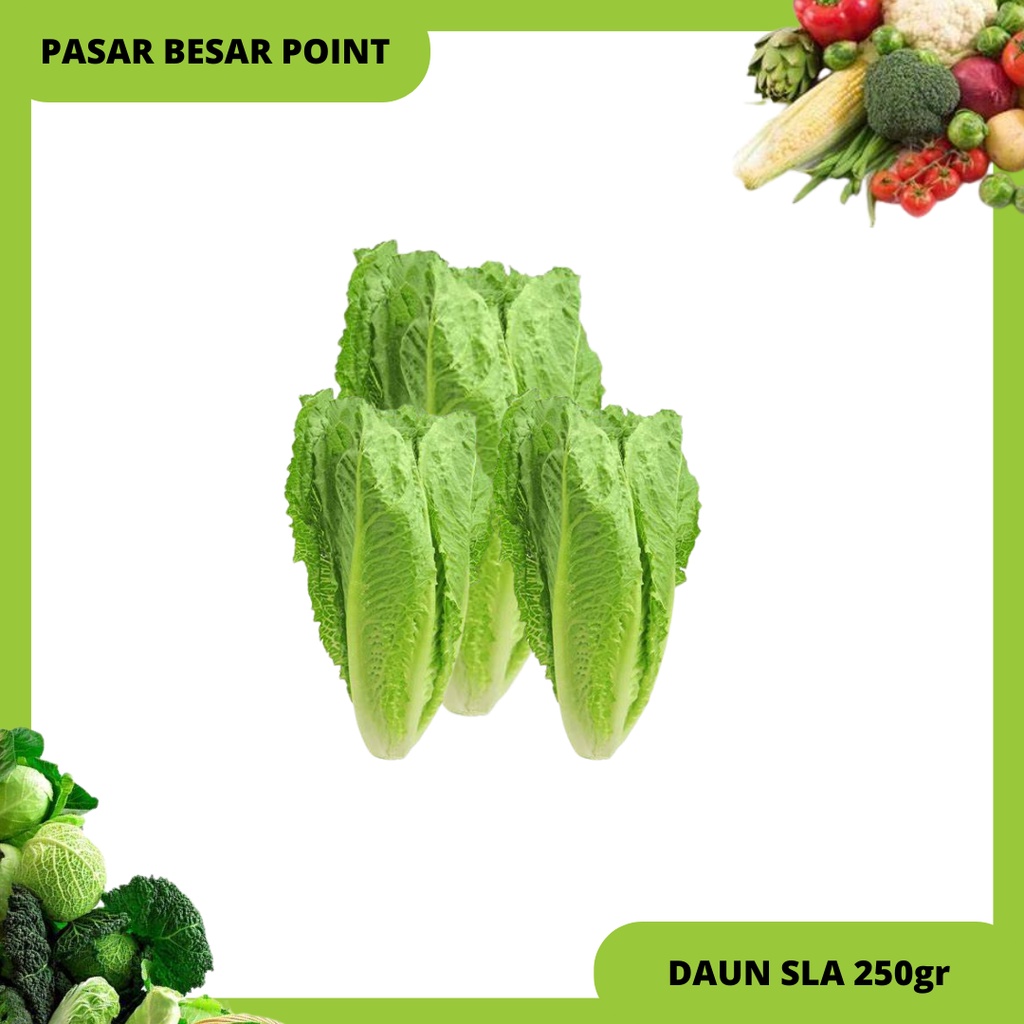 

daun slada
