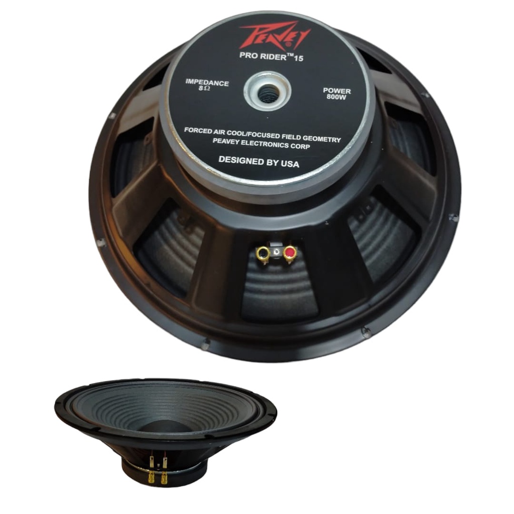 speaker peavey 15 inch pro rider 15 fullrange