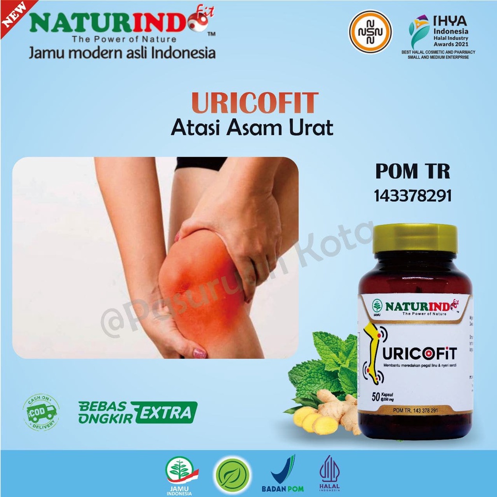 Obat Asam Urat Dan Kolestrol  Nyeri  Sendi  Paling Ampuh Herbal Cina Rematik  Bpom Kolestrol  Darah 