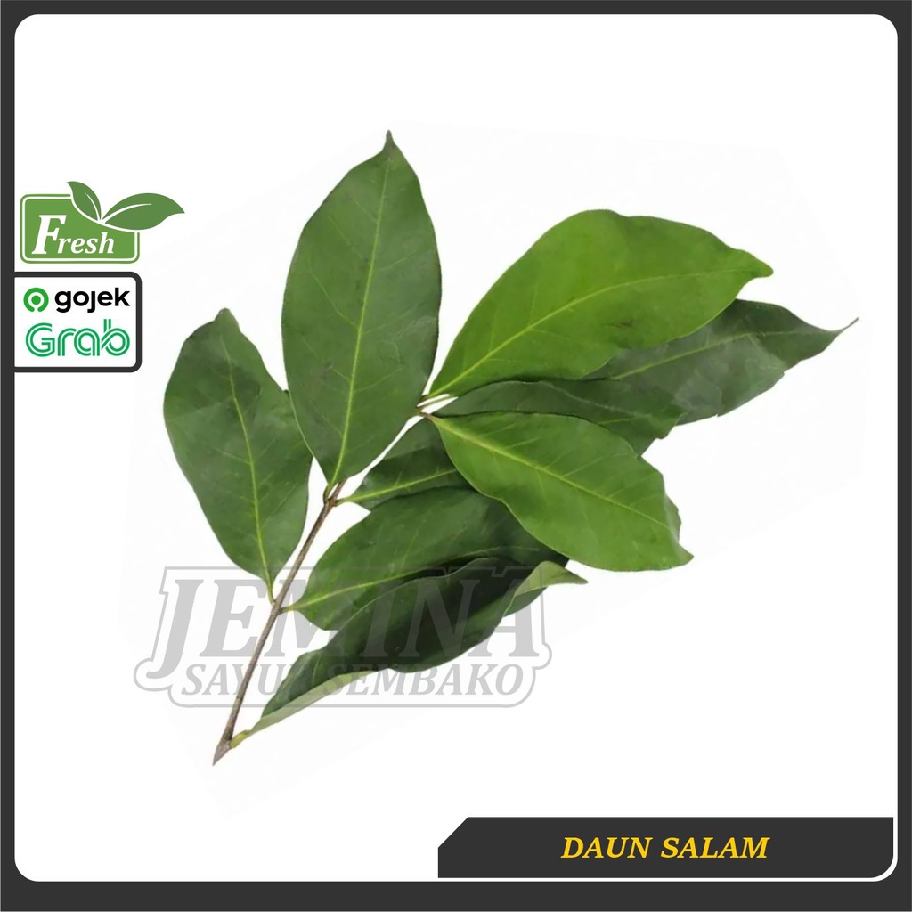 

Daun Salam - Sayur Jogja