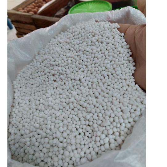 

trxCc1C6 Sagu Mutiara Putih Super/ Biji Mutiara Putih Super 250 gr