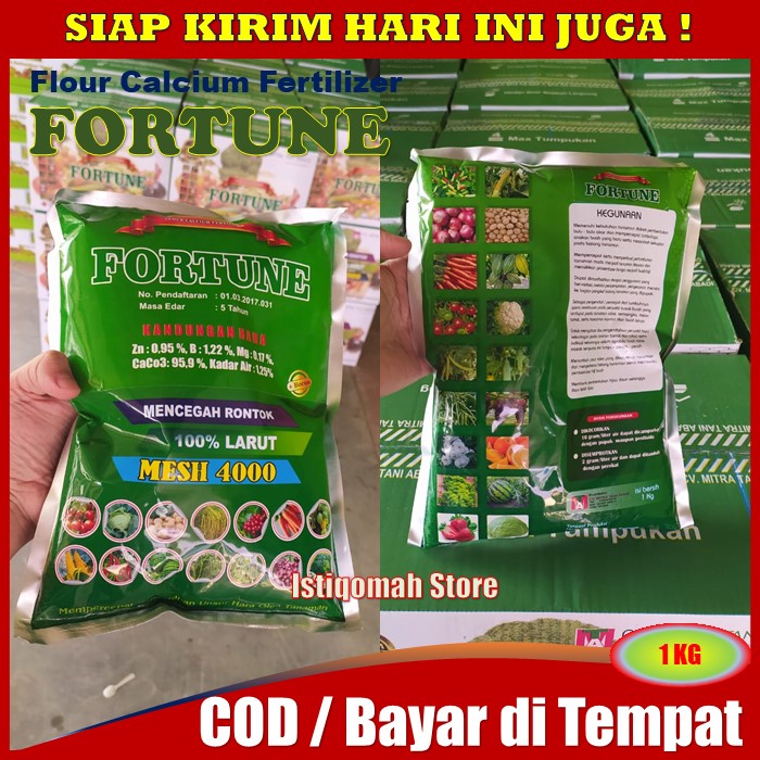 Pupuk Daun Kacang Panjang Layu Kekuningan FORTUNE 1 KG Pupuk Kalsium Bubuk untu Tanaman Kacang Panjang - Pupuk Semprot Kacang Panjang Anti Rontok Bunga dan Buah Super Lebat - Pupuk Bibit Kacang Daun Menguning Kacang Panjang Paling AMPUH