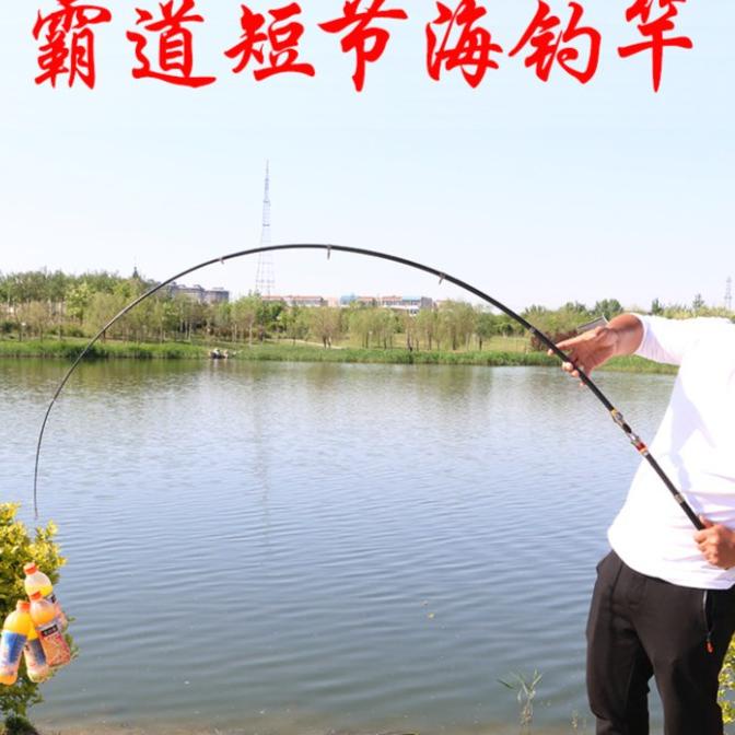 Joran Pancing Spinning Telescopic Antena Joran Pancing Carbon Kuat