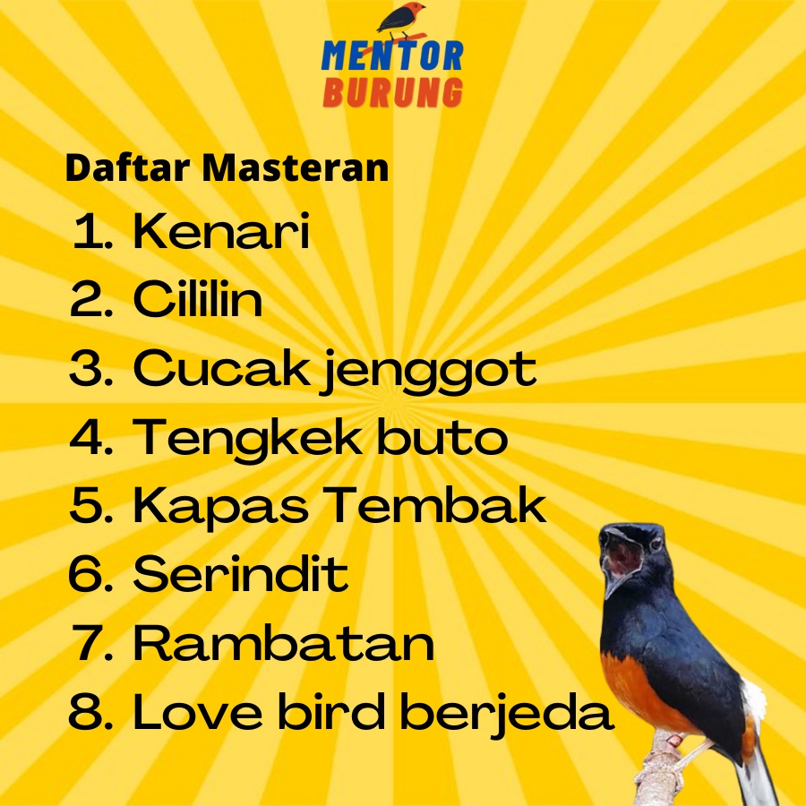 Memory card isian masteran burung murai jernih berjeda gacor - micro sd mp3 isian khusus burung murai batu air hutan blesetan mentor burung