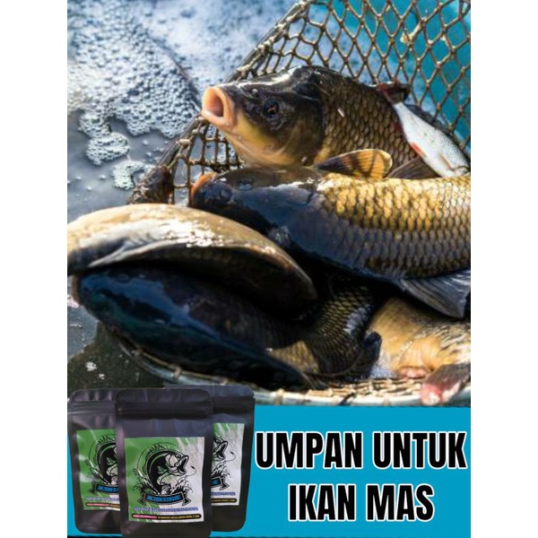 Serbuk Ultra Strike Campuran Umpan Bom Pengumpul Perangsang Ikan Mas Lele Nila Gurame Bawal Patin Le