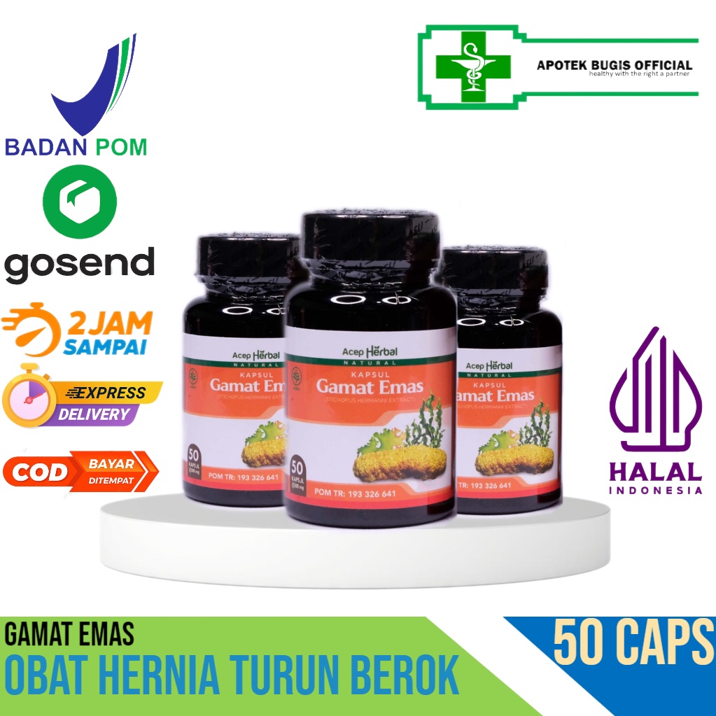 Kapsul GAMAT EMAS Obat Hernia Turun Berok Hidrokel Testis Besar Buah Zakar Bengkak Benjolan Varikokel Gamat Emas Kapsul - BPOM &amp; Halal