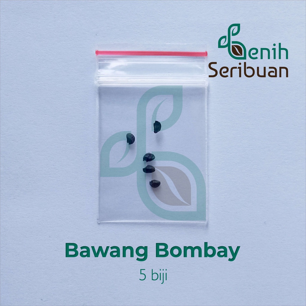 Benih Seribuan - 5 Bibit Sayuran Bawang Bombay Import Unggul