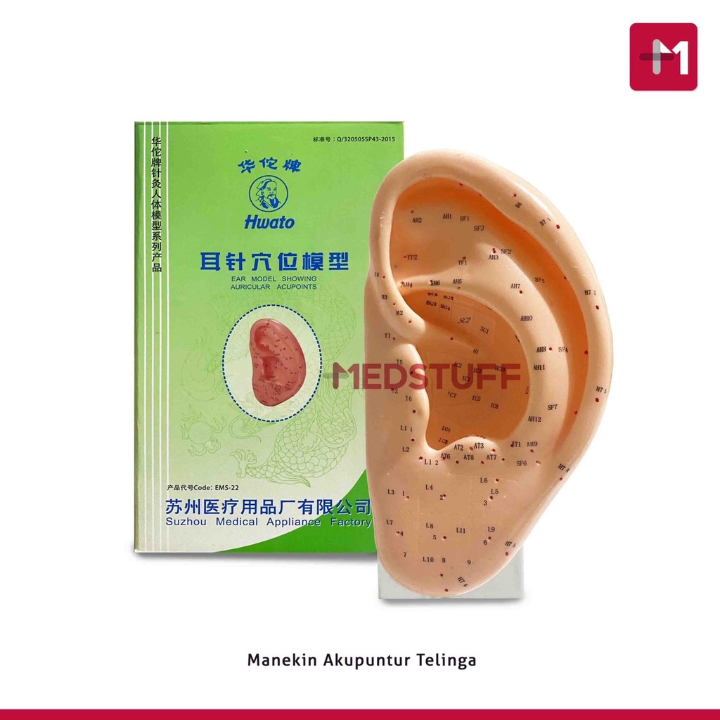Manekin Telinga Akupuntur Hwato Manekin Acupuncture Patung Telinga Akupuntur