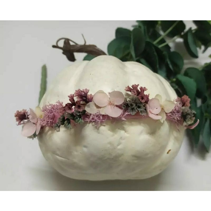 headband newborn photography