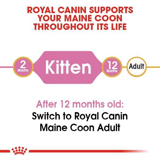 Royal Canin Kitten Maine Coon 400g Makanan Anak Kucing Mainecoon