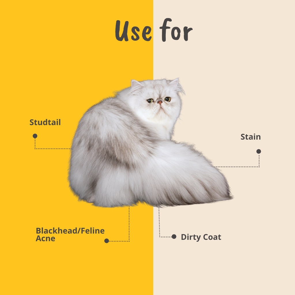 Degreaser Kucing Degrease Shampoo Degreaser grooming Shampoo Kucing Anti Rontok Paket Groomer