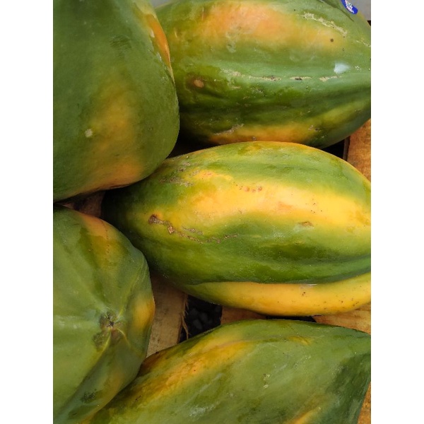 

Buah Pepaya Thailand