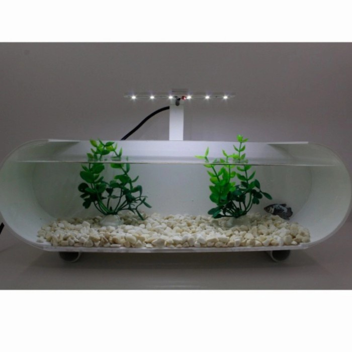 aquarium mini akrilik unik aquarium ikan cupang fullset