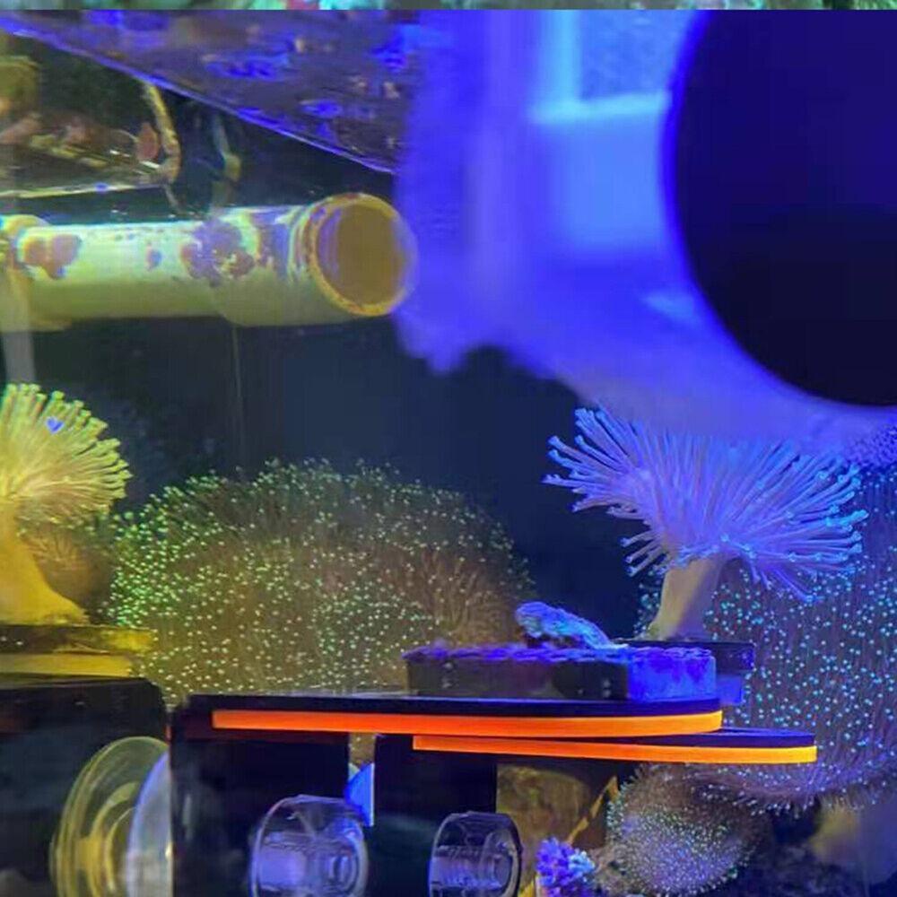 TOP Bracket Frag Karang Aksesoris Aquarium Tangki Ikan Dengan Suction Cup Tempat Karang Tanam Karang