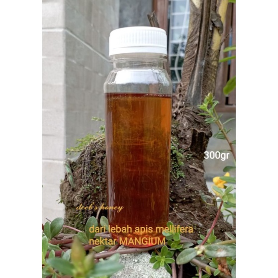 

madu murni Raw honey nektar mangium 300gr