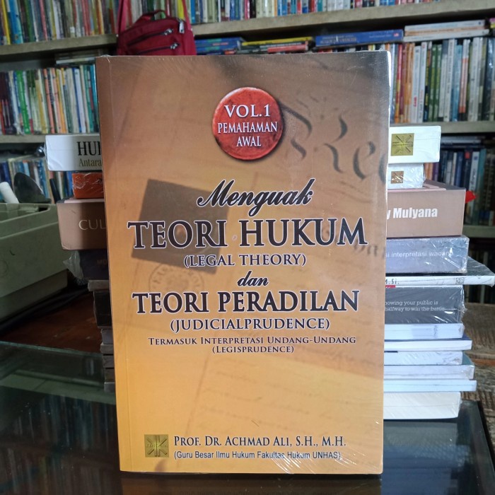 

menguak teori hukum dan teori peradilan Achmad Ali