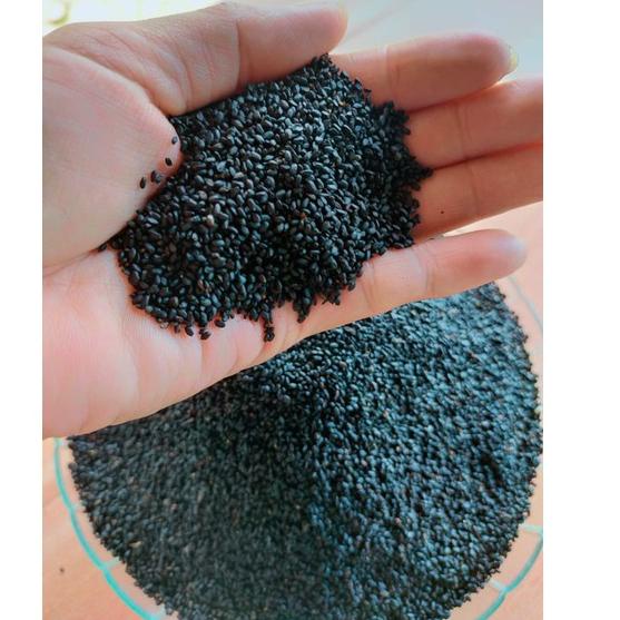 

kodef4F9r Biji Selasih Import 1/2 kg kilogram Bersih Grade A