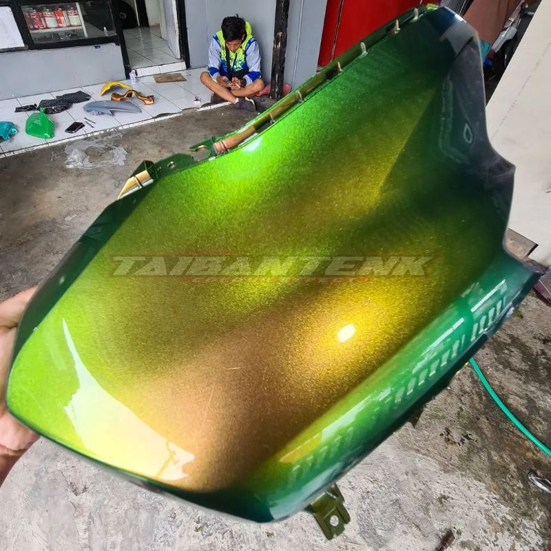 Cat Bunglon Taibantenk Massimo