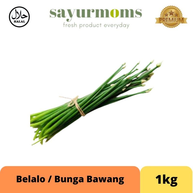 Belalo / Bunga Bawang