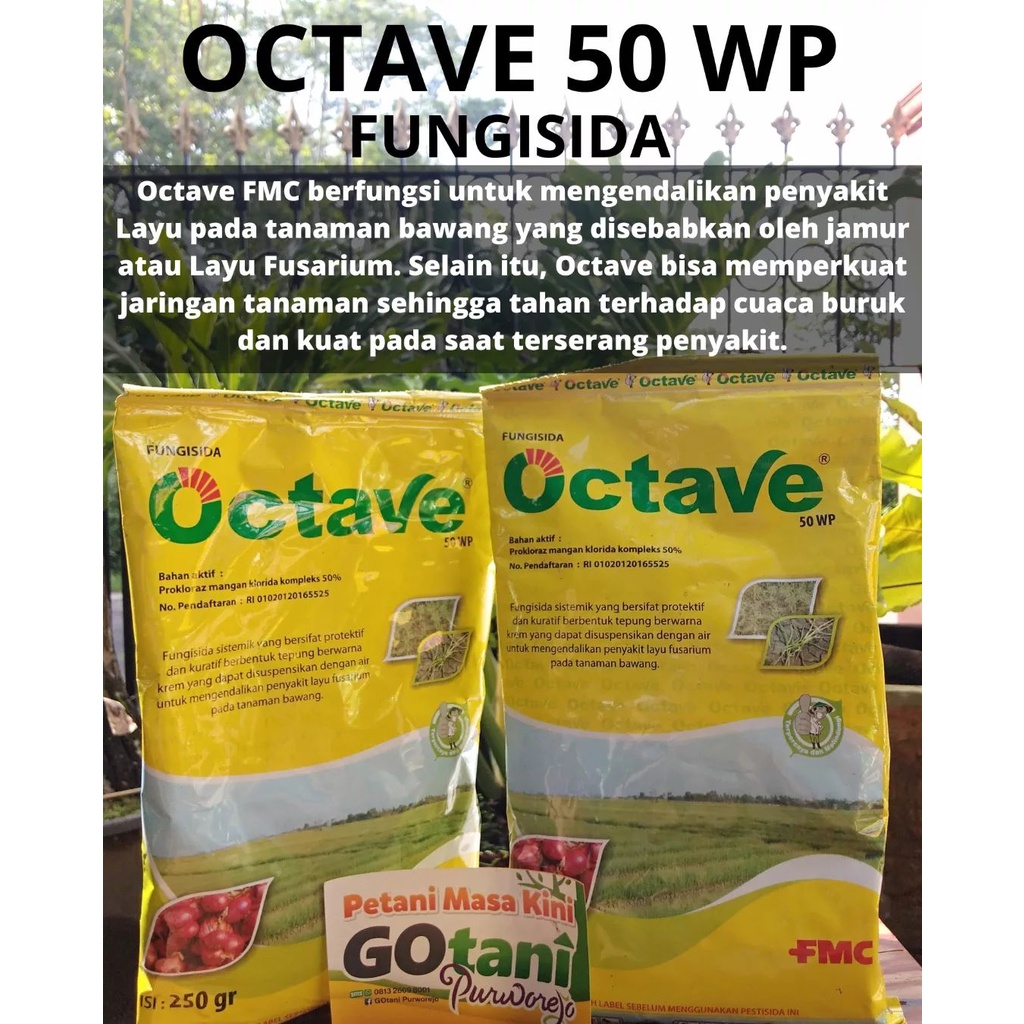 OCTAVE 50WP FUNGISIDA BAWANG MERAH
