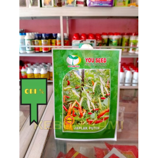 BENIH CABE JAPLAK PUTIH 10 GR