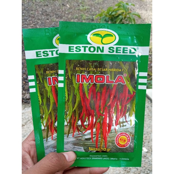 Bibit Benih cabe Besar IMOLA isi 10gram