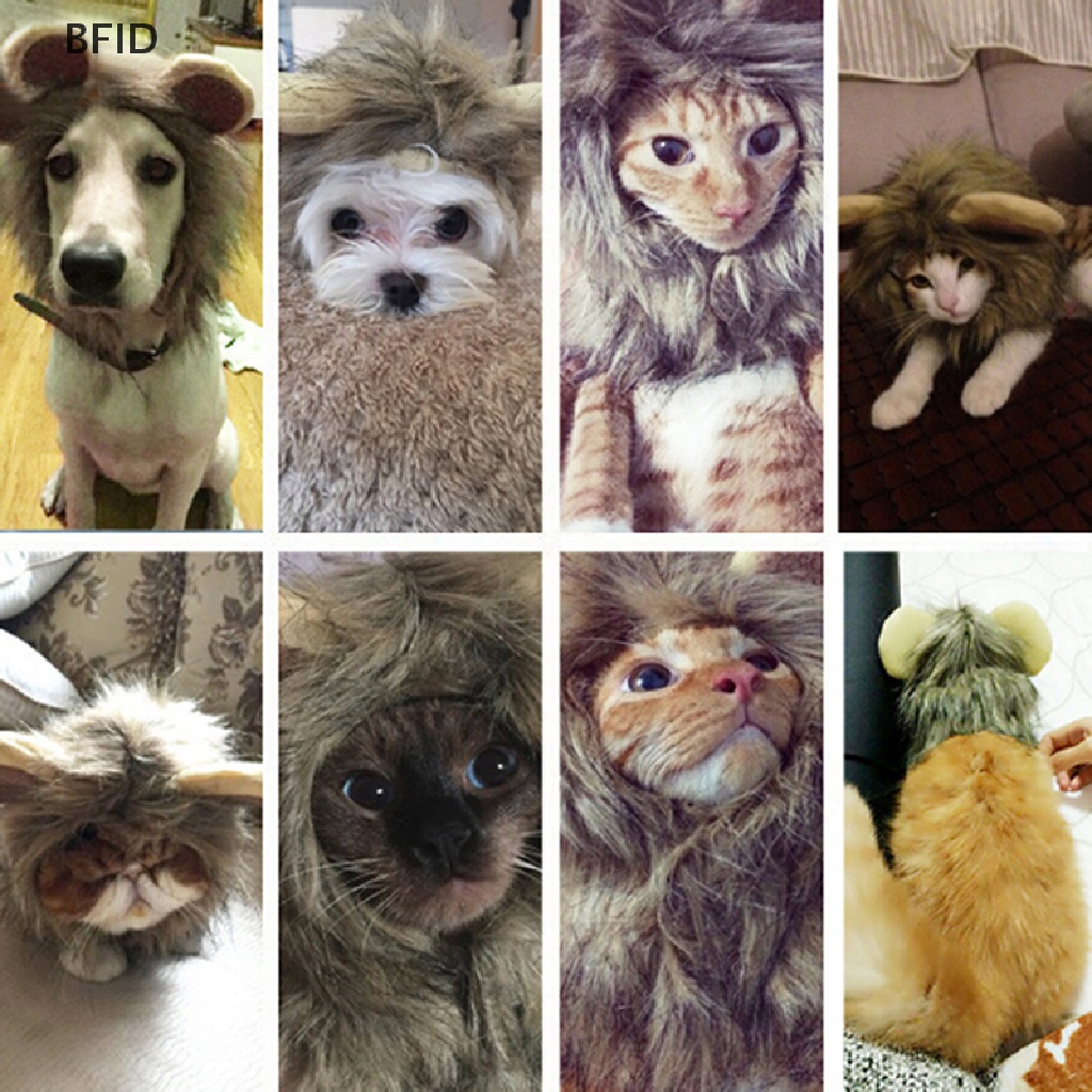 [BFID] Kostum Topi Anjing Peliharaan lion mane wig Untuk Kucing halloween dress up Dengan Telinga  [ID] Baju Kaos Distro Pria Wanita Lengan Panjang [ID]