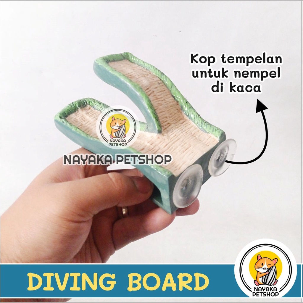 Mainan Hamster Diving Board Kura Brazil Tempat Jemur Kura Air Berjemur